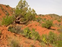 A hike near the campground